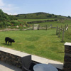 tethera Cottage