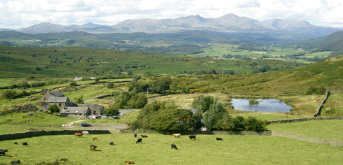 Coal Yeat Estate in the Lake District